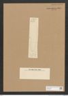 Surirella sp. (de-Toni-Nr.: Genus 53) Zeichnungen Sammlung Grunow Nr. 4857 (NHMW-BOT-W0373034)